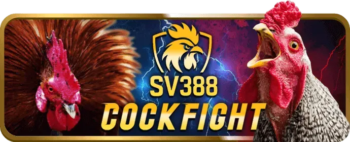 Tuyển thủ eSports đang thi đấu trên máy tính, thể hiện cá cược eSports hiện đại hay88 game